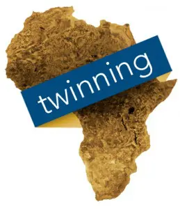 DENA-Twinning-header-map